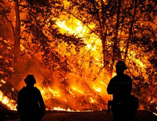 Черна гора поиска международна помощ за справяне с пожарите