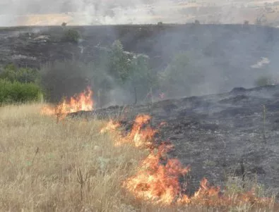 248 пожара са горели в страната през последното денонощие
