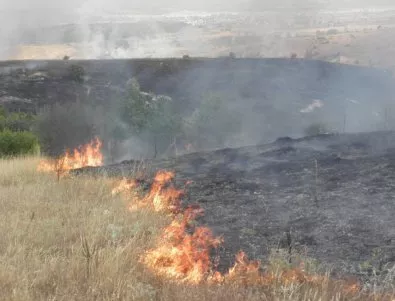 Пожарът между харманлийските села е локализиран