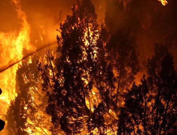 Овладян е пожарът над село Стара Кресна