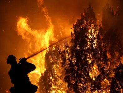 Увеличават се жертвите на горските пожари в Португалия 