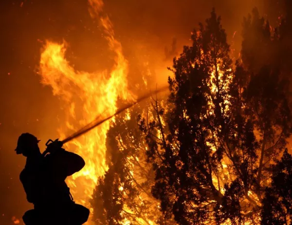 Увеличават се жертвите на горските пожари в Португалия 
