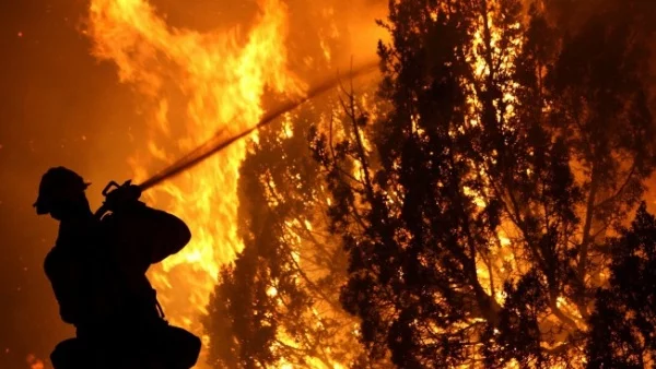 Увеличават се жертвите на горските пожари в Португалия 