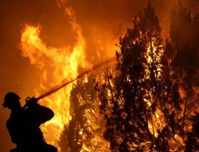 Над 20 хил. души са евакуирани в Калифорния заради горски пожари
