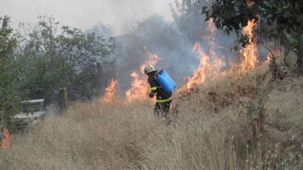 Голям пожар гори край Бобошево