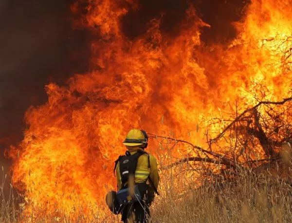 Пожар в Калифорния унищожи 100 къщи 
