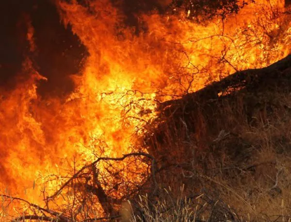 Голям пожар гори в Кресненското дефиле