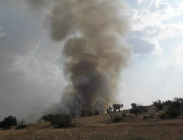 Пожарът край село Главан е овладян