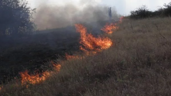 Образувано е досъдебно производство срещу двама души, заради пожара в Маджарово