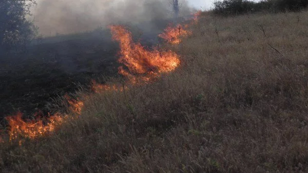 Пожар бушува тази нощ край Благоевград