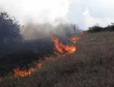 13 пожара за 12 часа в област Сливен