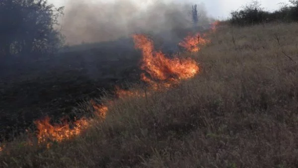 13 пожара за 12 часа в област Сливен