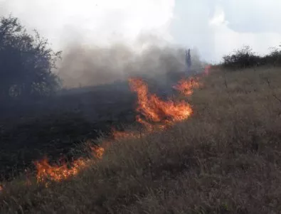 Пожарът на хълма Боровец е овладян