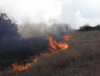 Пожар гори в местност „Сълзица”