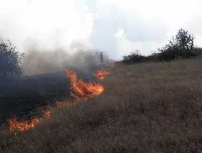 Между ловешките села Дъбрава и Прелом гори голям пожар