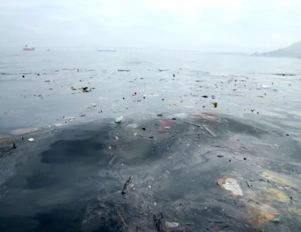 ЕС забранява пластмасата за еднократна употреба в опит за намаляване на морските отпадъци 