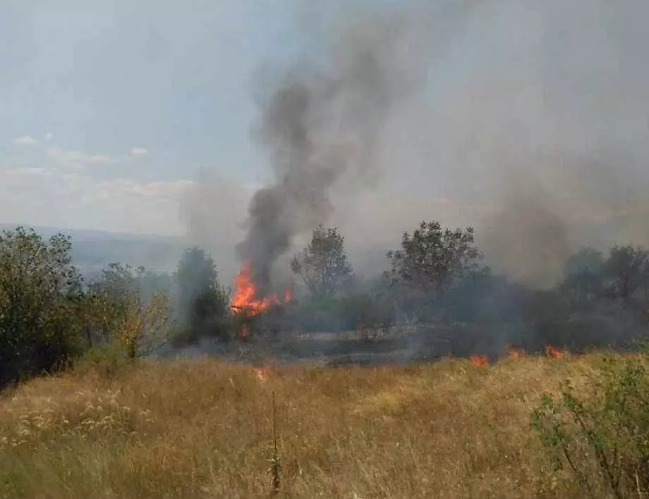 Над 5 000 кв. м. сухи треви горят в индустриална зона на Асеновград