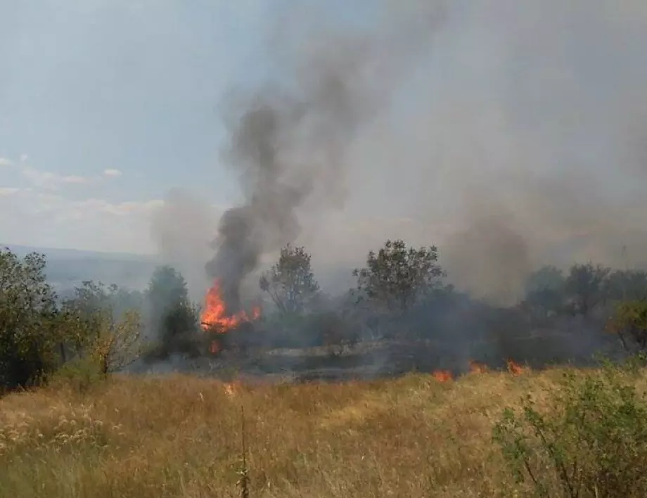 Пожар в Пловдивско унищожи близо 300 дка. житни масиви