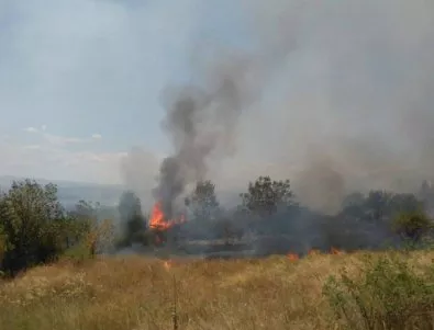 Три пожара горят в Пловдивско, два от тях са в близост на АМ „Тракия”
