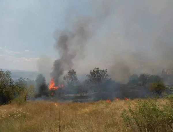 В 7 области в страната има опасност от пожари 