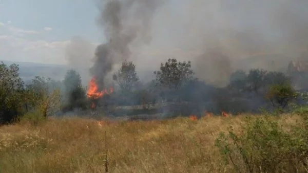 В 7 области в страната има опасност от пожари 