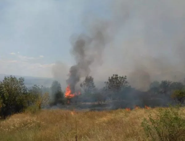Отново пожар в Хасковско 