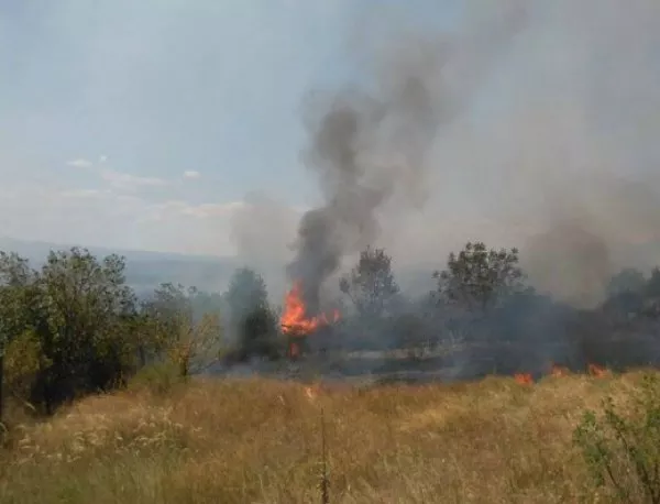 Огънят в село Главан надделява над пожарникарите