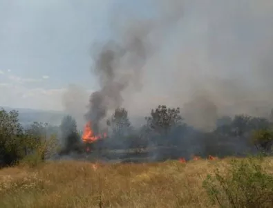 Голям пожар е възникнал край Синьо Камене