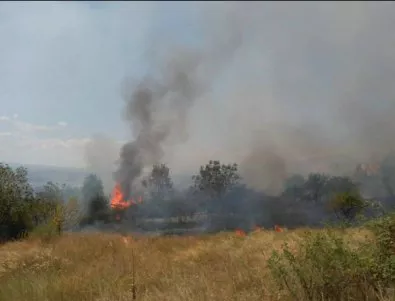Горски пожар край София ограничава видимостта по магистрала 