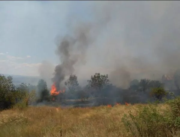 Горски пожар край София ограничава видимостта по магистрала "Тракия"