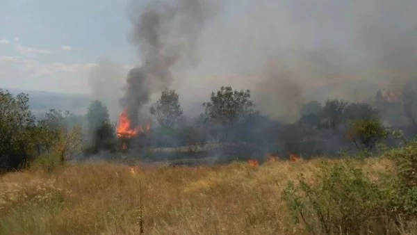 Горски пожар край София ограничава видимостта по магистрала "Тракия"