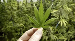 {{ otherArticle[0].article.title }}