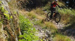 Параолимпиец почина по време на състезание