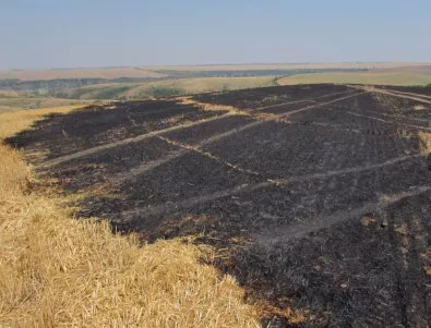 8 сигнала за запалени сухи треви и отпадъци са регистрирани около Велико Търново 