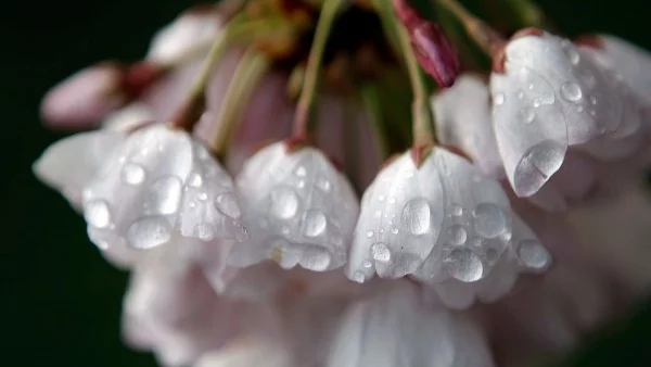 Прогноза за времето - 27 юли (четвъртък)