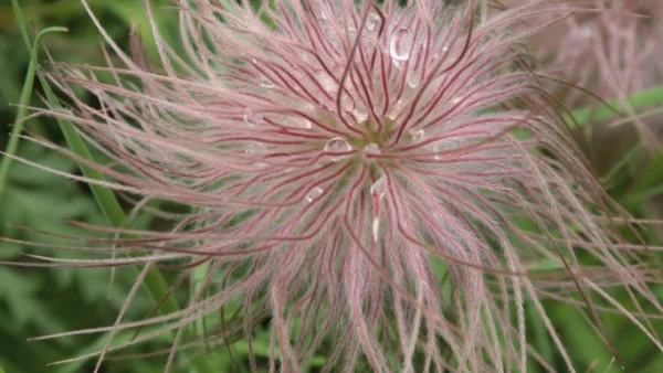 Прогноза за времето - 21 март (сряда)