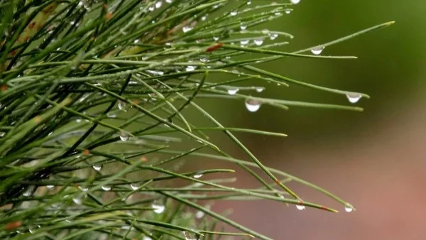 Прогноза за времето - 28 октомври (събота)