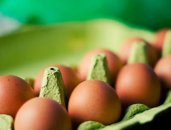 БАБХ изтегля от пазара полски яйца, заради съмнения, че са заразени със салмонела 