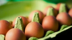 Лекар съветва: Мийте яйцата преди употреба