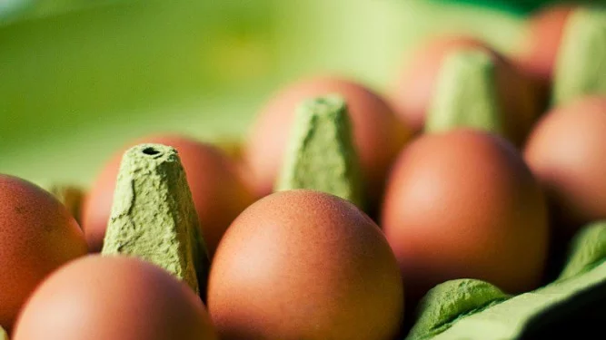 Върнахме половин милион кокоши яйца със салмонела на Полша