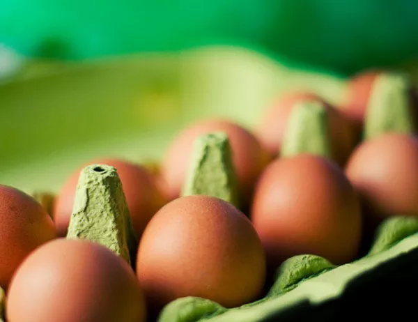 На българския пазар няма яйца, замърсени с фипронил
