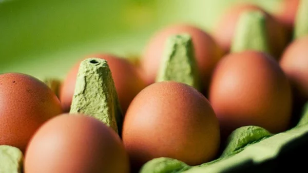 В България нямало от заразените яйца... засега