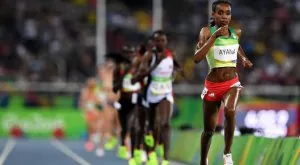 2016/08/20/0266112001471654776