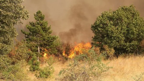 Три големи пожара гасиха през изминалото денонощие варненските пожарникари