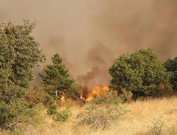 Пожар гори край село Българска поляна