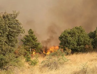 Голям пожар бушува между харманлийски села, пострадал е кметът на с. Доситеево