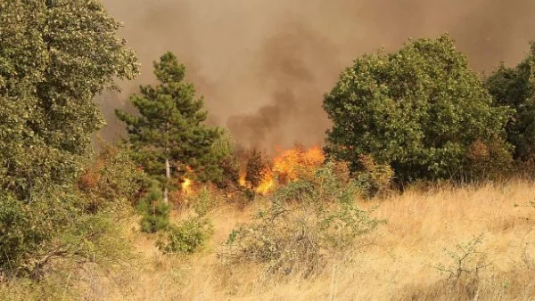 Голям пожар бушува между харманлийски села, пострадал е кметът на с. Доситеево