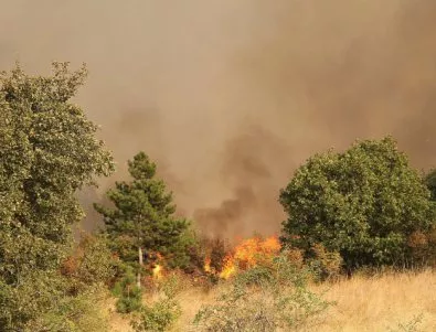 Представят мерки за защита на земеделските и горски територии от пожари 