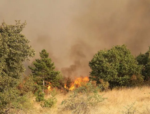4 сигнала за пожари са постъпили през изминалото денонощие на територията на община Бургас