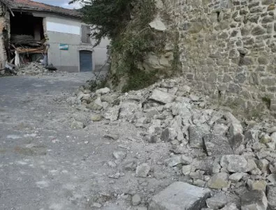 Куче, оцеляло след земетресението в Италия, ще става спасител